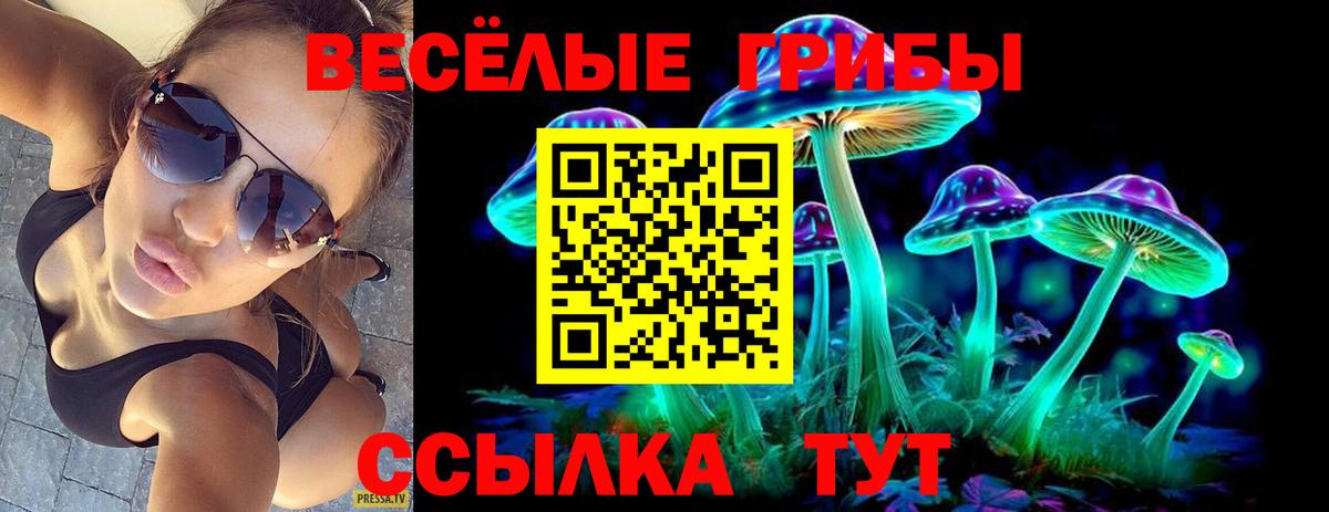 Галлюциногенные грибы GOLDEN TEACHER Тихвин